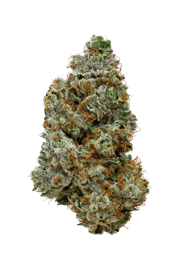 OJ Zainbow 14 gram x 4 per case