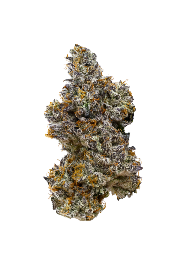 Tiramisu 7 gram x 6 per case