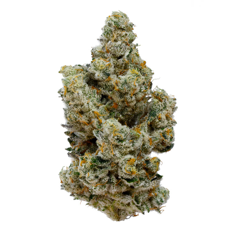 Fugu  7gram x 6 per case