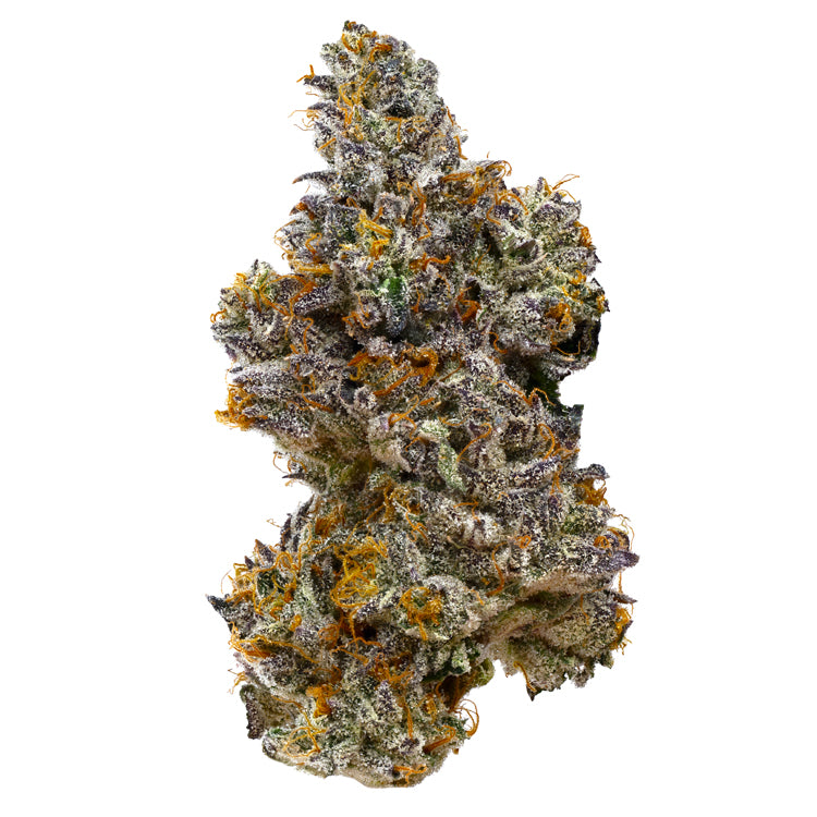 Tiramisu 7 gram x 6 per case