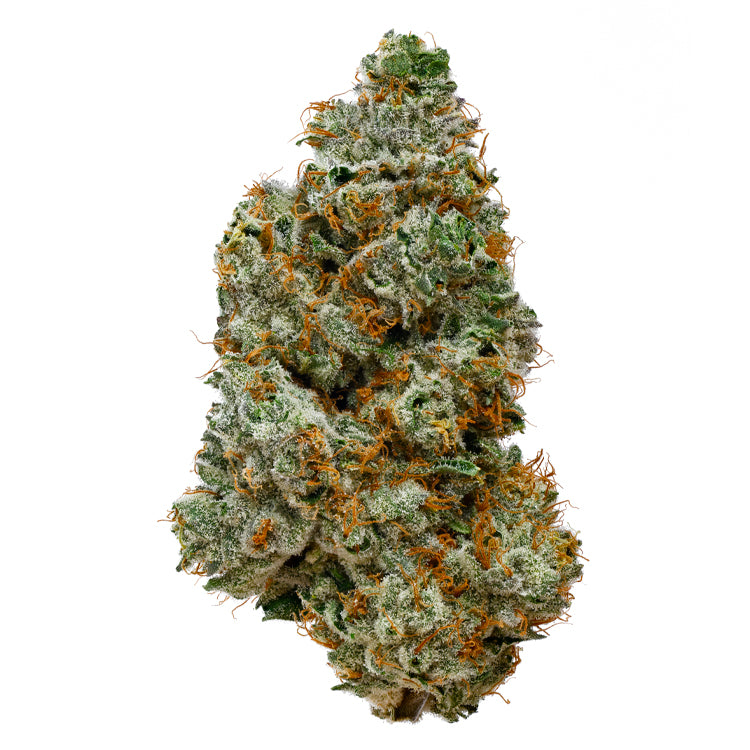 OJ Zainbow 7 gram x 6 per case